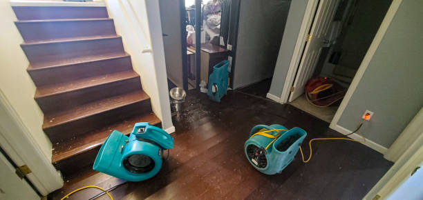 Best 24/7 water damage repair  in Bear Creek, AK
