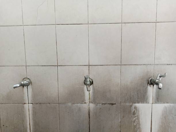 Sewage cleanup and water damage restoration in Bear Creek, AK